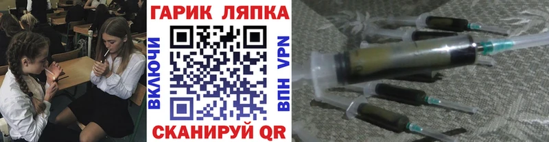 ГАШ Изолятор  гидра   Тамбов 